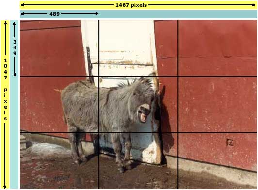 300_squares_size