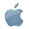 Apple Icon
