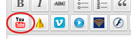 Viper Quicktags buttons on editor bar with YouTube selected.