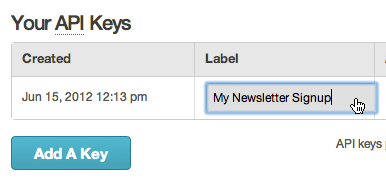 Name Your MailChimp API key.