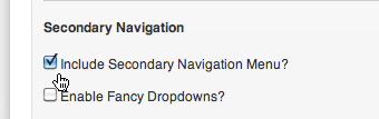 Checkbox to enable secondary navigation.