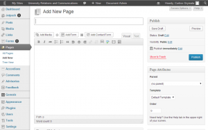 Screenshot of the add a new page screen in WordPress 3.6.