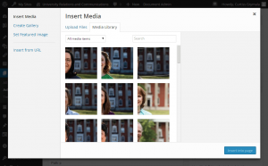 Screenshot of the WordPress 3.8 Insert Media screen.