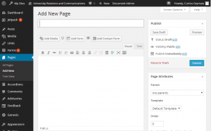 Screenshot of the add a new page screen in WordPress 3.8.
